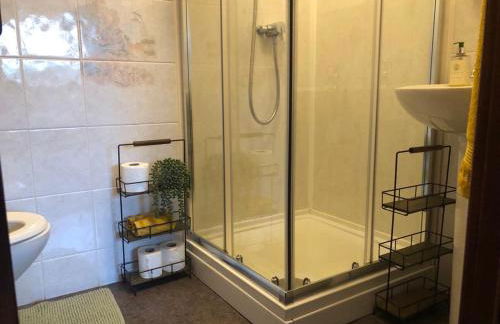 Mallard at Spring Head Farm - Foto 15