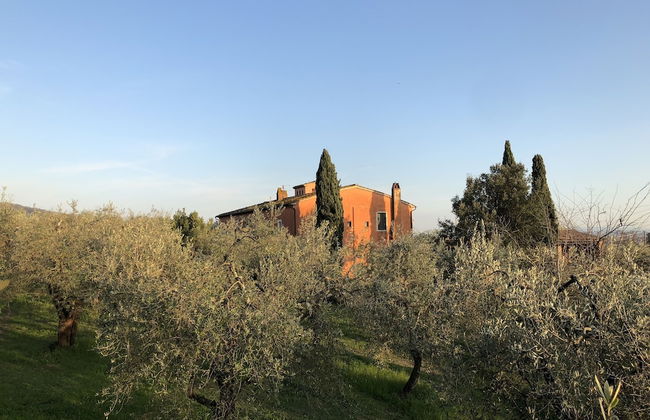 Agriturismo Podere Marchiano - Foto 40