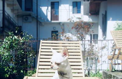 Stresa Complex LevOasi - Foto 59