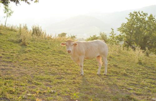 Agriturismo Campo del Pillo - Foto 45