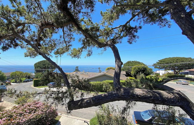 La Jolla Mid-century by Avantstay Private Pool, Outdoor Living + Ocean Views - Photo 5