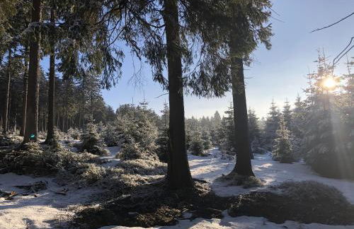 Ferienwohnung Tannenblick 2-1 - Foto 24