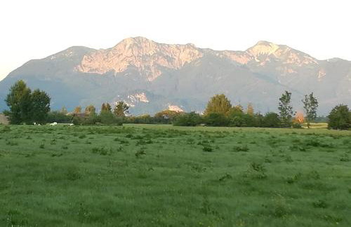 Apartment Moosblick zwischen Bergen und See - Foto 10