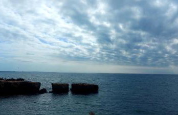 Jeannie's Oura Estrela - Foto 7