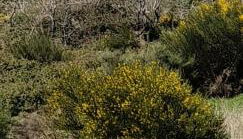 Emilia Atico - Foto 5