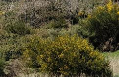 Emilia Atico - Foto 5