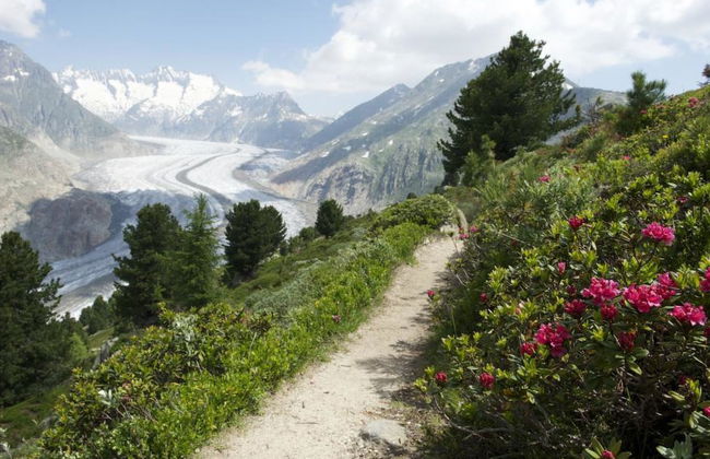 Almenrausch 2. OG Süd-West - Foto 26