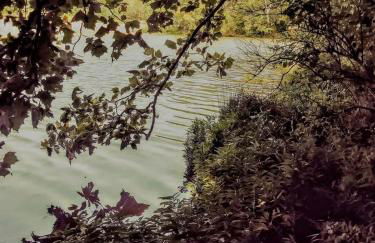 Cozy Wood Shed Tiny House Near Old Hickory Lake w/ Full Kitchen, Fire Pit & Breakfast - Foto 46