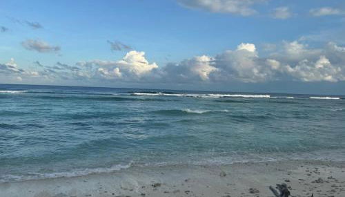 Apartmenthaus Sonnenblick - Foto 5