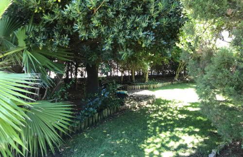 Playa San Miguel - Foto 41