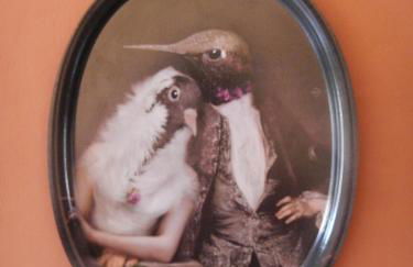 Lagrasse Romantic house, enclosed garden, pool - Foto 13