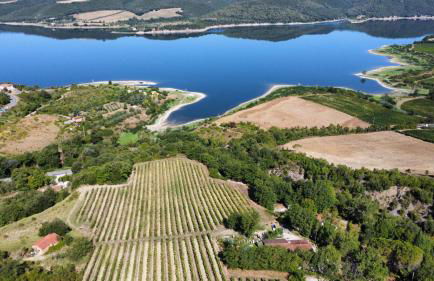Poggio San Giacomo - Foto 6
