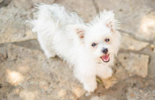 Apartment Matteo - Foto 5