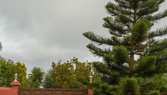 Country house Santa Lucia - Foto 4, Garden view