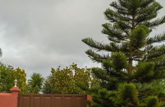 Country house Santa Lucia - Photo 4