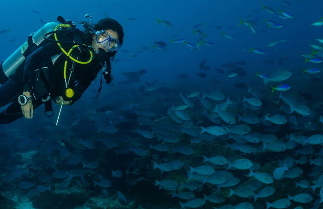 Scuba Diving in São Miguel - Photo 2