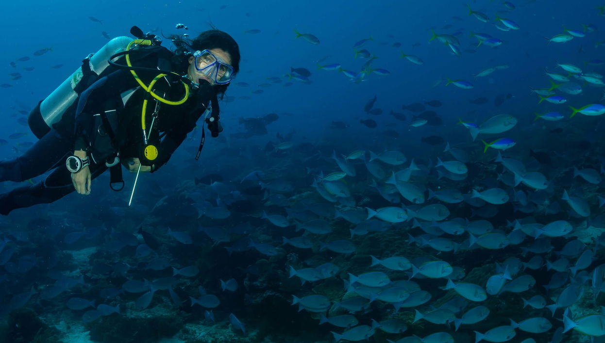 Immersione a São Miguel