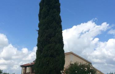 Borgo Buciardella - Foto 22