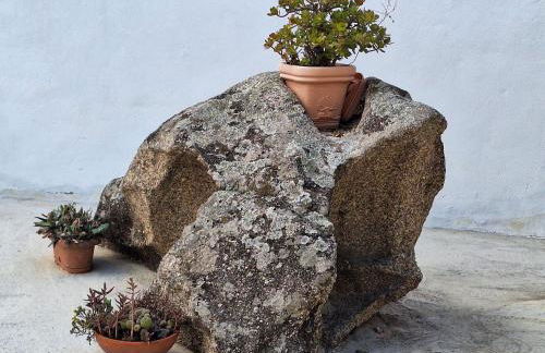 Apartment Manna Hof by Interhome - Foto 21