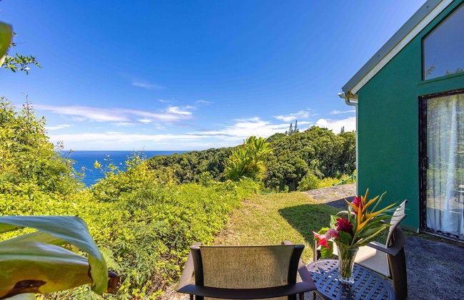 Plumeria Room on a Lush Farm on Maui's North Shore - Foto 108