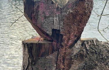 Apartment Weßling - Foto 11