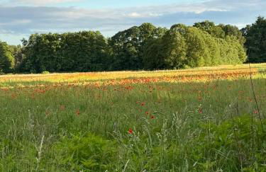 Country house villa near Berlin - Foto 39