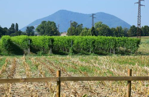 GINEVRA'S COUNTRY HOME - Foto 35