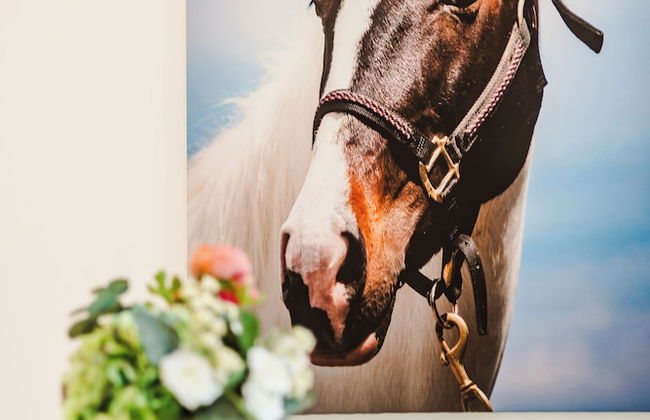 StayAU Cozy & Stylish 2BR in Box Hill - Foto 50