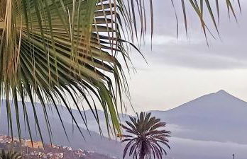 Casa Flora Garden Studio (Gite) - Foto 2