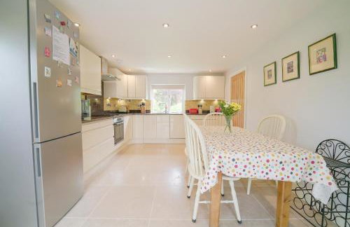 The Quackery - Foto 56