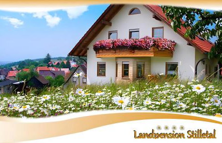 Pension Stilletal - Springstille - Photo 3