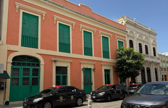 Gladiolas 1208 - Foto 21