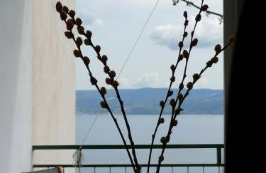 STAR of the SEA 2 - Photo 52