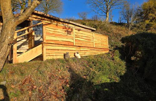 Luxury Welsh wooden cabin - Foto 8