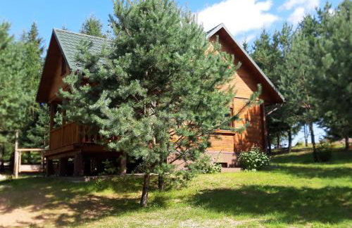 Pod Dębem Bis - Foto 28