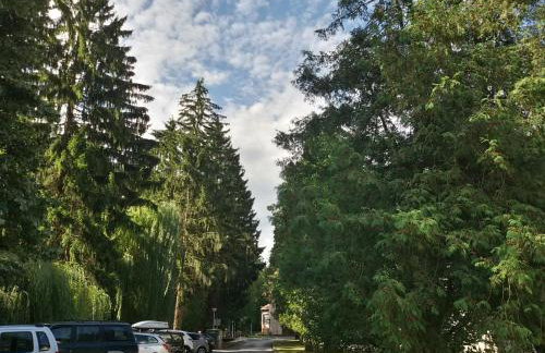 Studio apartman Toplica - Foto 9