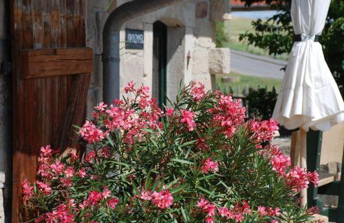 Landkulturhof Glücksbringer - Foto 14