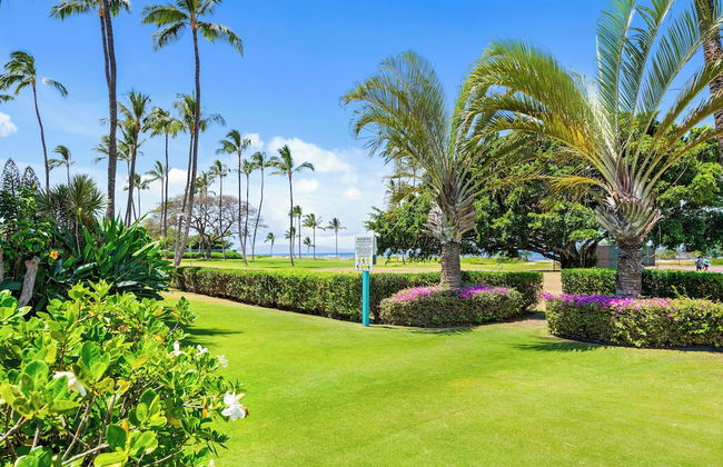 Maui Schooner Resort - Photo 47