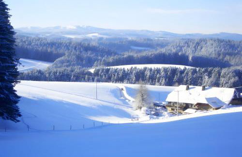 Willmannshof - Photo 26