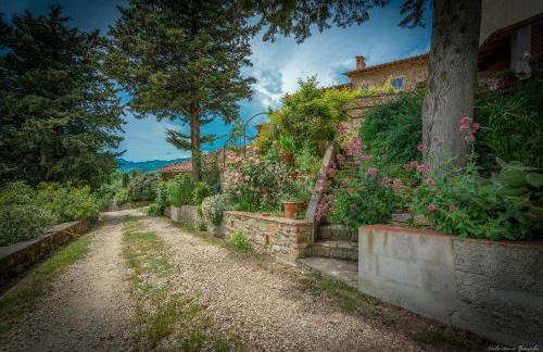 Agriturismo Corzano - Foto 29