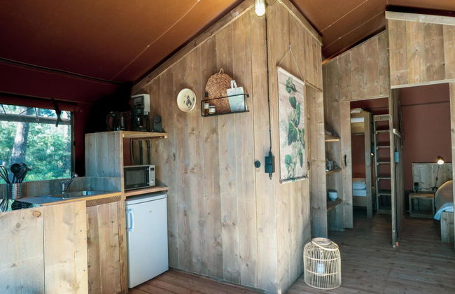 2 bedroom House in Otterlo with swimming pool and terrace - Photo 7