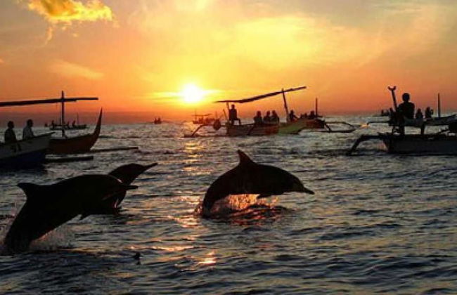 Villa Lilly - Foto 48