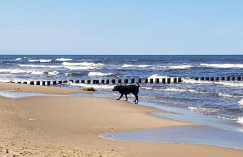Ferienwohnung Balmer Wiesen - Foto 26