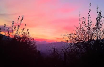 Residence Giardino - Photo 38