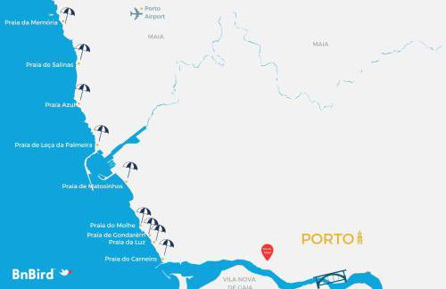 Vilar Studios - Palácio de Cristal - Foto 66