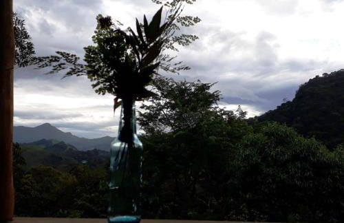 Casa Verde da Floresta da Gávea - Foto 6