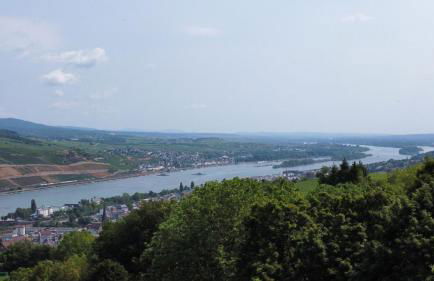 Fichtennest - Foto 13