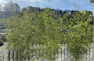 Etretat: agréable maison de ville - Foto 34