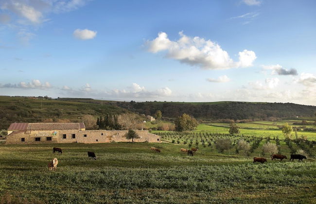 AgriturCostabaira - Foto 41