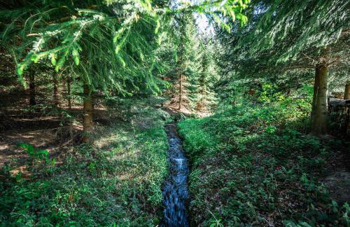 Mühlenhof - Photo 34